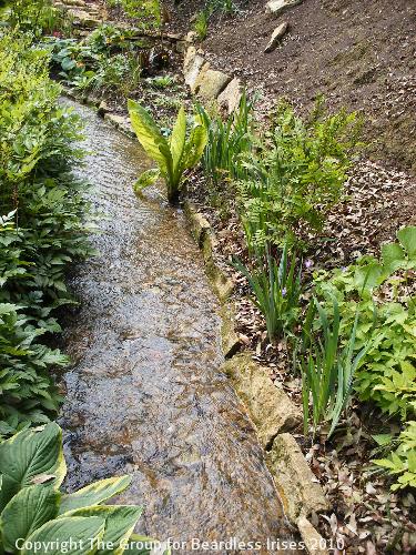 hidcote (08)